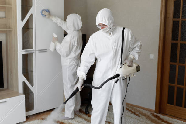 24/7 Emergency Odor Removal experts in Wiley, GA