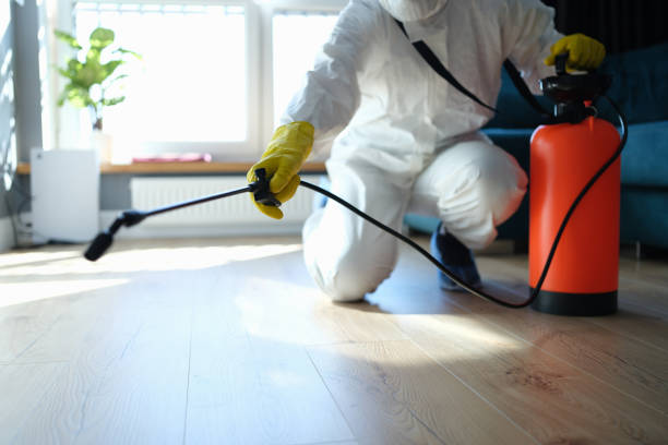 Reliable Odor Removal contractor in Wiley, GA by Trauma Clean Pros